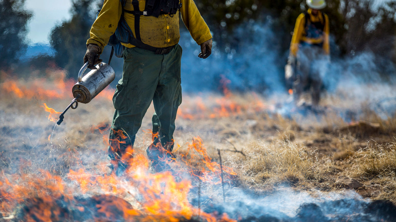 Wildland firefighters lighting fire with drip torches on a controlled burn on JE Canyon Ranch, Branson, CO. February 2017. Controlled or prescribed burns move quickly through the dry grassland prairies and can range from several acres to well over 100 acres. They help reduce woody material and invasive species encroaching on the prairies and promote regeneration of native species in these historically fire adapted ecosystems. For this series the photographer trained with and embedded in a local wildland fire module providing intimate access to the work and the fires.