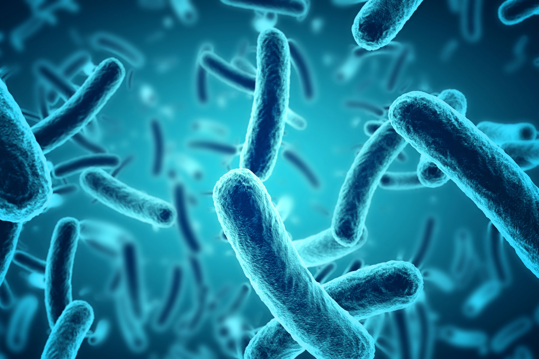 Using computer-based models, a USC research team studied how harmful bacteria survives and determined how to kill it. (Image/iStock)