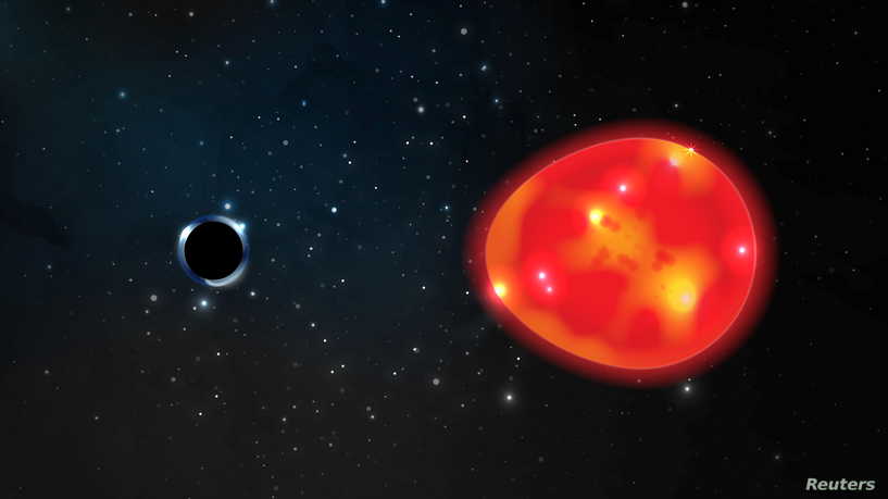 A black hole located approximately 1,500 light years from our solar system, discovered in the constellation Monoceros, pulls at a nearby red giant star, distorting its light in an undated illustration.  Ohio State illustration/Lauren Fanfer/Handout via REUTERS   NO RESALES. NO ARCHIVES. THIS IMAGE HAS BEEN SUPPLIED BY A THIRD PARTY.