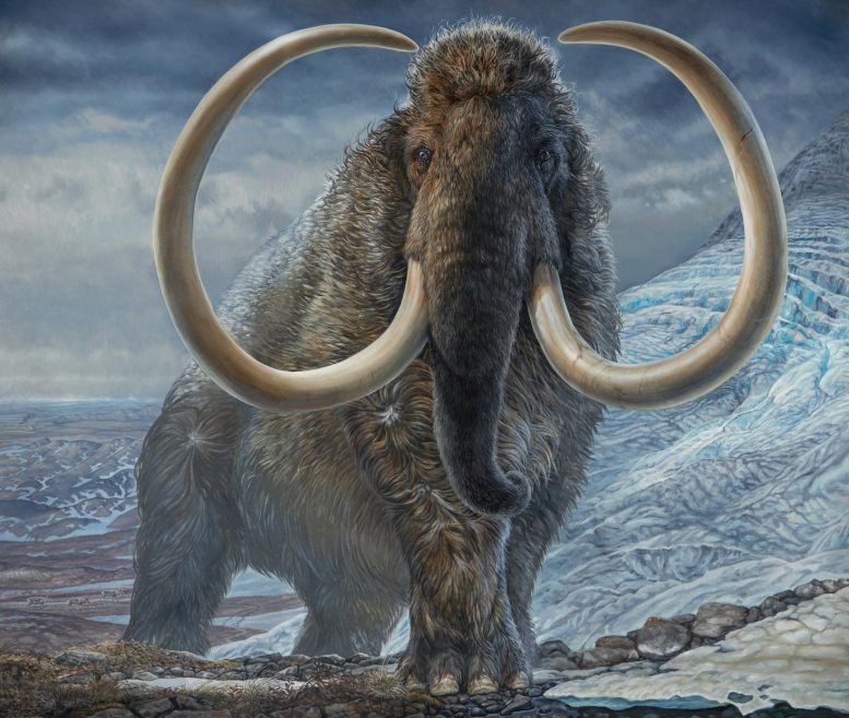 Adult-Male-Woolly-Mammoth-Illustration-777x657