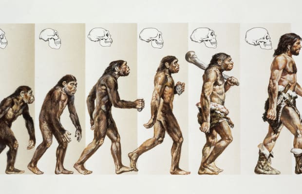 human-evolution-promo-gettyimages-122223741