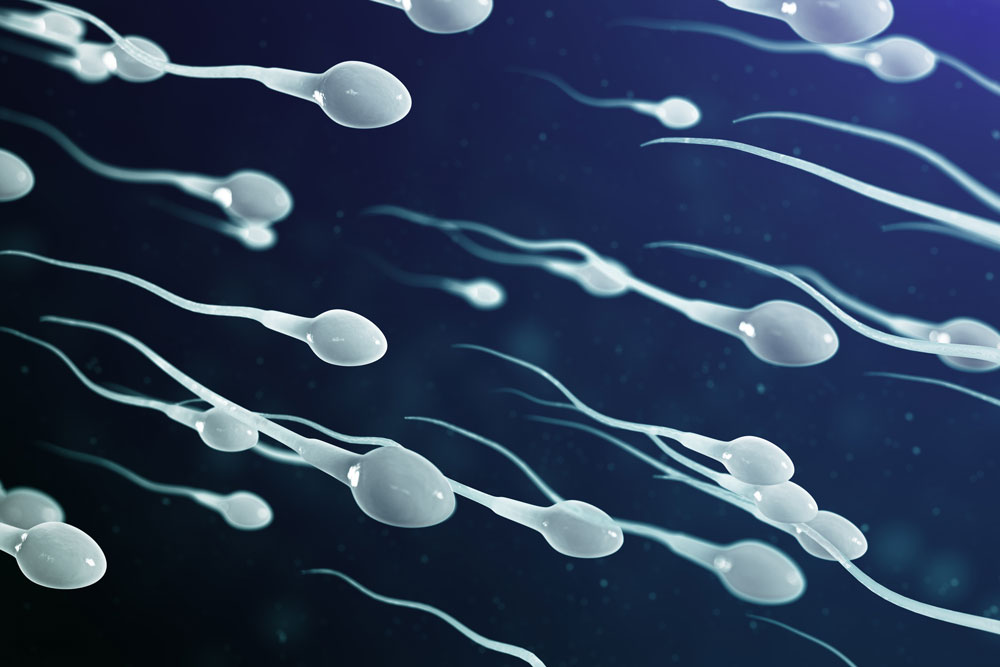 sperm-retreival-hero-banner-mobile