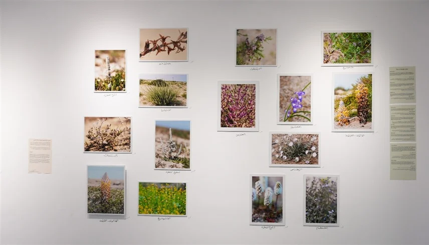 معرض فني يوثق إرث فيلكا العريق في قلب الكويت