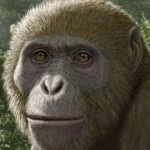 27c9587f-b37d-48a9-ade2-e3275b1eddc0_16x9_1200x676