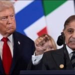 WhatsAppcccccc08 at 10.12.16