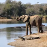 ee141980-6a53-48cb-b0b1-6501a2237e5c_16x9_1200x676